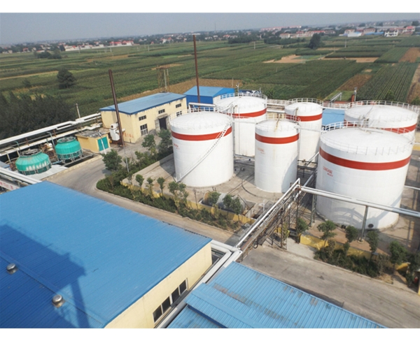 企業(yè)風貌 (6)